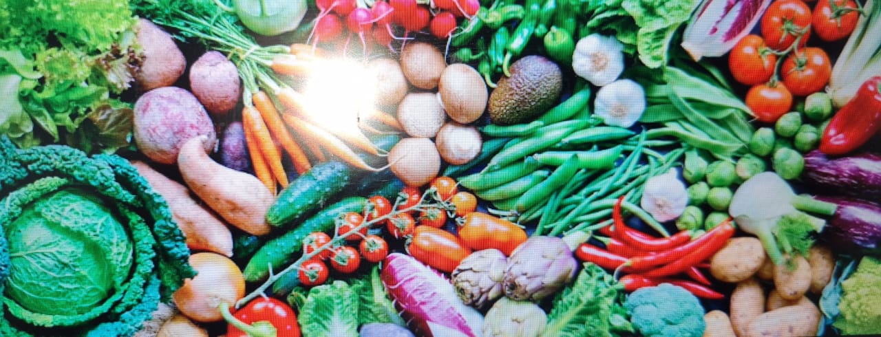 WhatsApp Image 2024-08-16 at 19.10.35